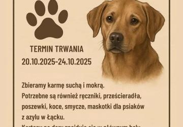 PODAJ ŁAPĘ - ZBIÓRKA CHARYTATYWNA